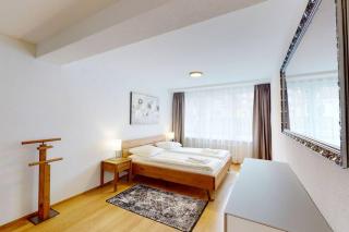 Amazing/sunny 2 bedroom flat in the city center (West 6) - Zürich - 9