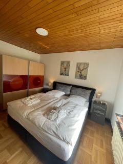 Attraktive Ferienwohnung in 35606 Solms, Wellness exklusiv im benachbarten Braunfels - Braunfels - 2