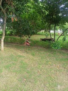 ARANYAK HOMESTAY entire bunglow - Bolpur - 9