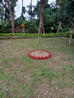 ARANYAK HOMESTAY entire bunglow - Bolpur - 7