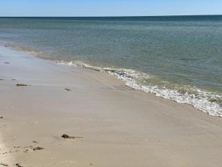 The Rookery III Unit 7004 Cottage - Gulf Shores - 8