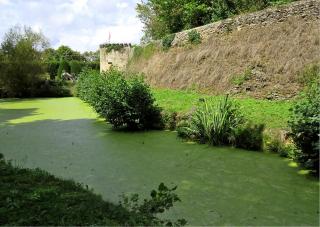 LES DOUCEURS DU LOGIS - La Garnache - 2