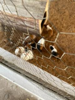 Flat 1218, no residencial monte castelo - 6