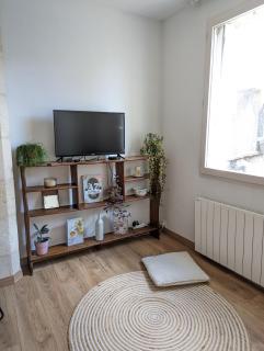 Lumineux appartement sous les toits à Pey Berland - Bordeaux - 5