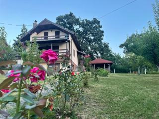 Vila Plavinac - Smederevo - 9