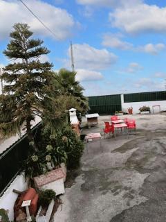 Spacious House in Encarnação with Garden & Terrace - Encarnação - 2