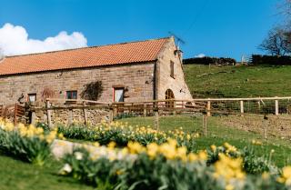 The Arches - Westerdale - 0