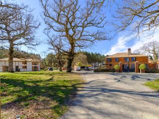 Holiday Home Souleyraou by Interhome - Sainte-Eulalie-en-Born - 8