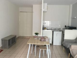 Studio meublé 27 mètres carrés wifi netflix - 3