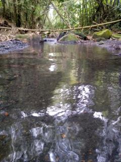 Finca Villa Rosita-Tu Paraíso Campestre cerca de Bogotá - 4
