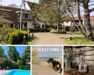 Hotel De Torenhoeve - Burgh Haamstede - 8
