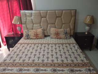 Balqees Cottage - Lahore - 4