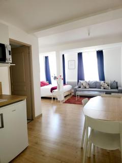 Appartement de charme - Toulouse - 6