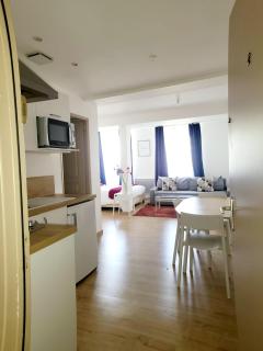 Appartement de charme - Toulouse - 4