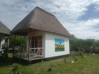 Real African Life safaris and Camps - Lukungu - 8