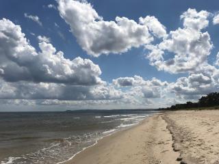 Villa Brösarp - Villa Brösarp - 9