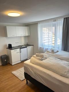 Zentrale Wohnung Gmunden Alte Bäckerei - Gmunden - 9
