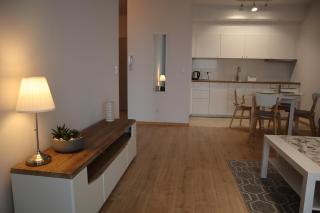 Apartament na Ptasiej - Danzig - 1