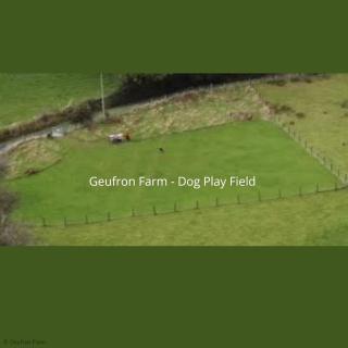 The Barn at Geufron Farm - Dog friendly - Nr Tywyn - 3