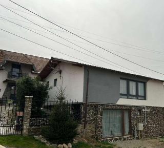 Cazare La Luiza b - Şura Mare - 9