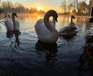 Breezes Park - Acton - 3
