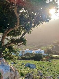 Good life Tulipe - Rcham - 5