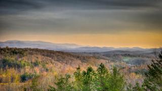 Branch Oak Manor - Mineral Bluff - 4