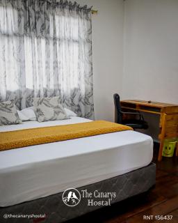 The Canarys Hostal - 1