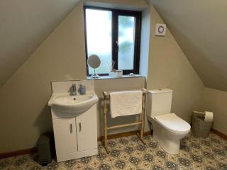 Cosy luxury Grade II listed barn in the Forest of Dean - Westbury on Severn - 3