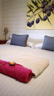 Cabaña Rural ¨La Huerta de los Serijos¨ - 1