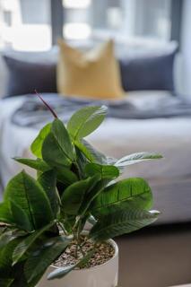 A Modern Studio Right Next to Southern Cross - 3