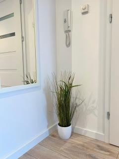 Silver Apart 2 z Parkingiem - 1