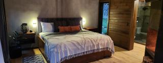 CHALET NORDICA - Mazamitla - 7