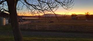 Ardross House - Amberley - 4
