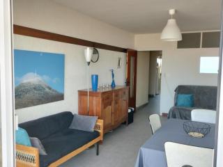 Appartement 1 chambre, balcon mer, Saint-Jean-de-Monts, 50m plage, animaux admis, parking - FR-1-323-266 - 9