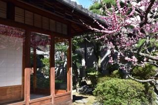 蔵の宿　櫻林亭 - 1
