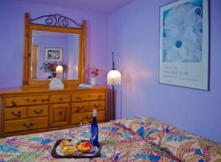 Ivey House Everglades Adventures Hotel - Everglades City - 4