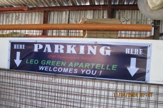 Leo Green Apartelle - 5