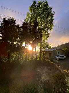 Adella's Blue Mountain Coffee Farmstay - Kingston - 1