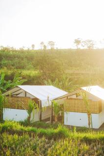 Camani Glamping - Karangasem - 8