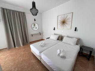 Nikos studios - Livadia - 5