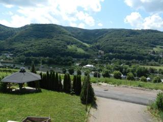 Holiday winery Kappes - Bernkastel-Kues - 1