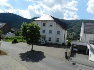 Holiday winery Kappes - Bernkastel-Kues - 0