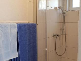 Palatinate Forest Comfortable holiday residence - Silz - 1