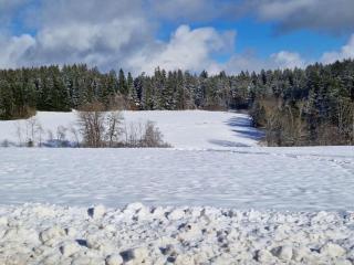 Waldresidenz Comfortable holiday residence - 4