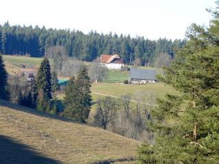 Waldresidenz Comfortable holiday residence - Unterkirnach - 3