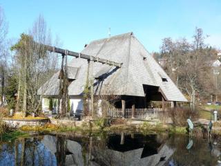 Waldresidenz Comfortable holiday residence - Unterkirnach - 9