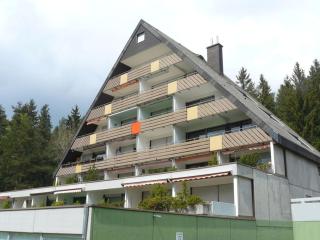 Waldresidenz Comfortable holiday residence - Unterkirnach - 0