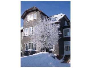 Haus Cäcilie Modern retreat - Oberhof - 9