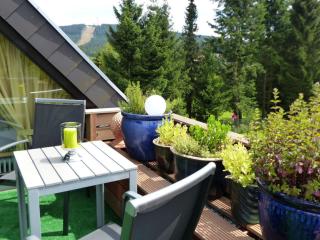 Dream view Comfortable holiday residence - Hahnenklee - 3